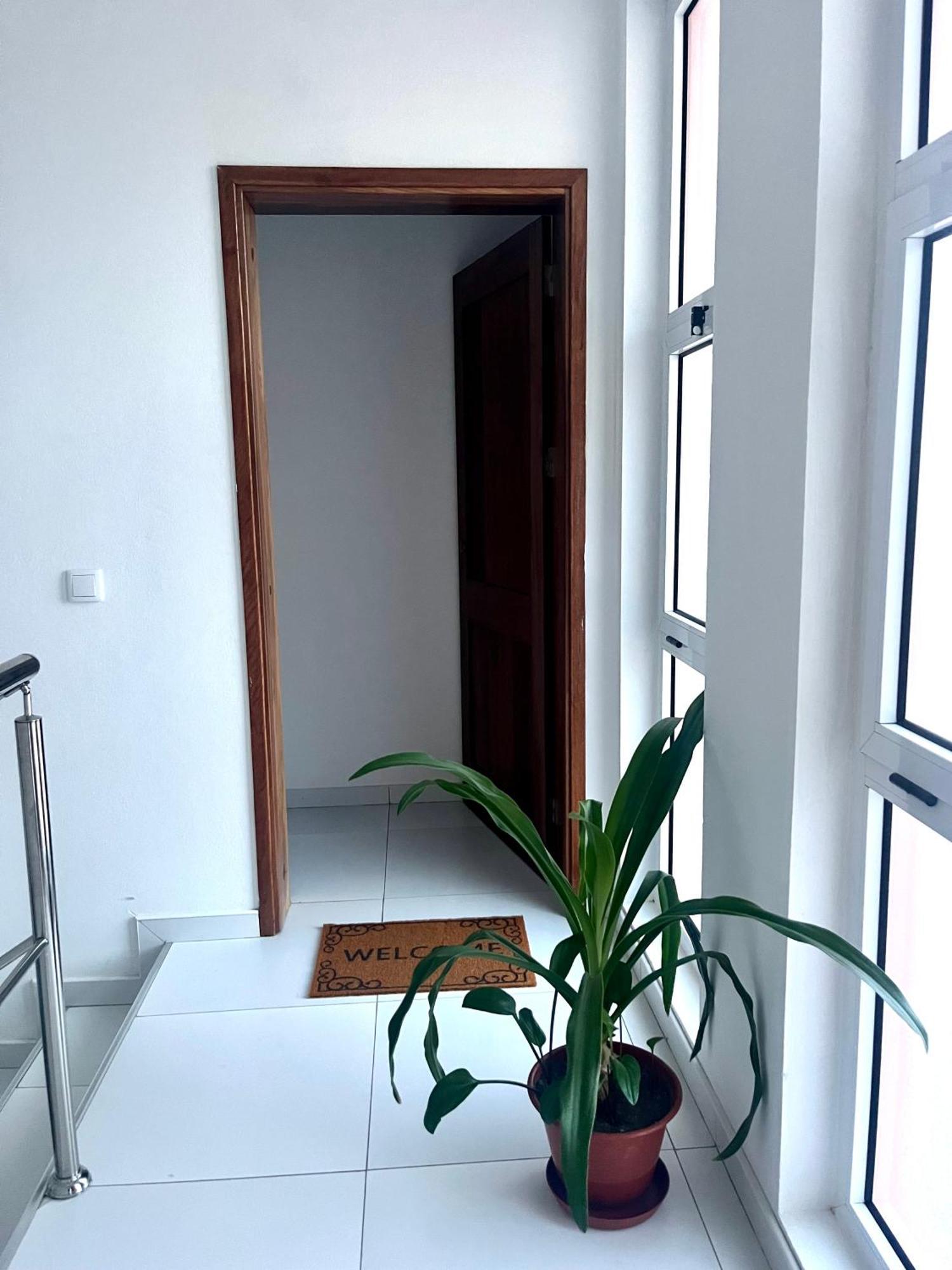Appartement Oasis De Retour à Ponta Do Sol Extérieur photo